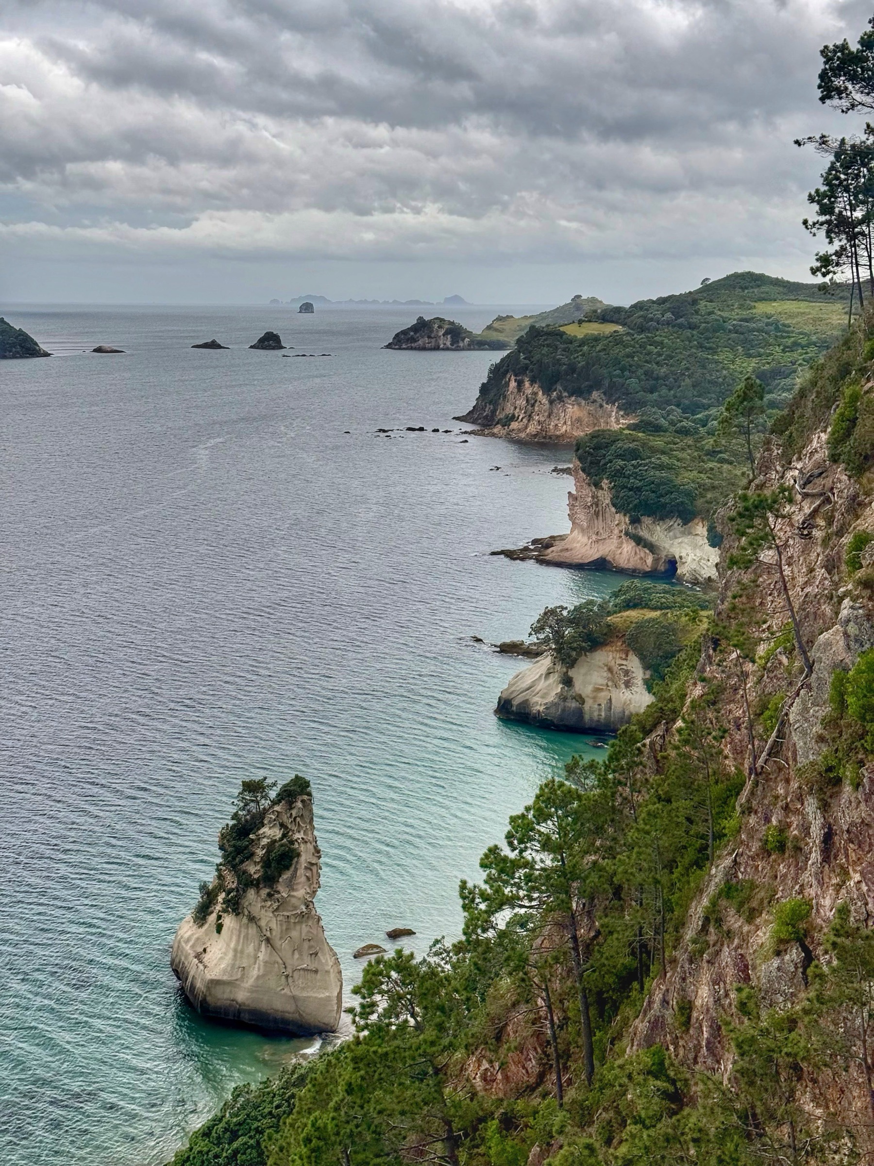 Sea stacks and turquoise water on the Coromandel coast near Cathedral Cove