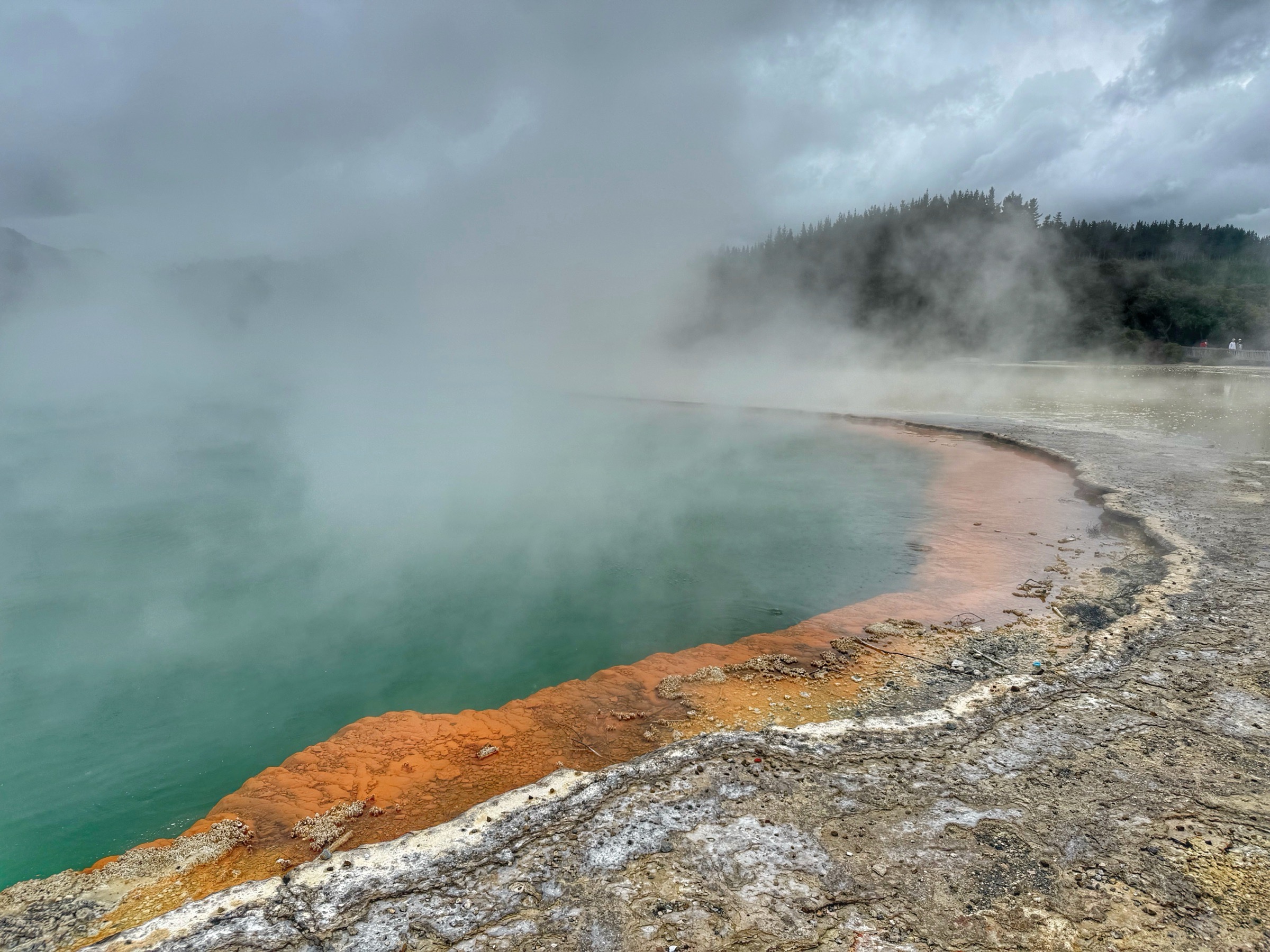 Steam over the orange-rimmed Champagne Pool in a geothermal park